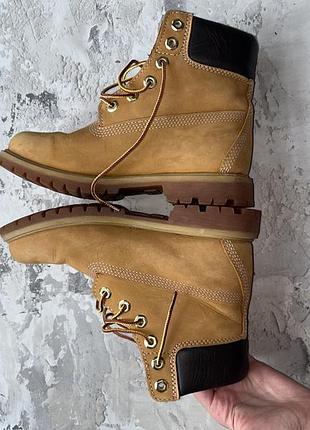 Черевики timberland 6