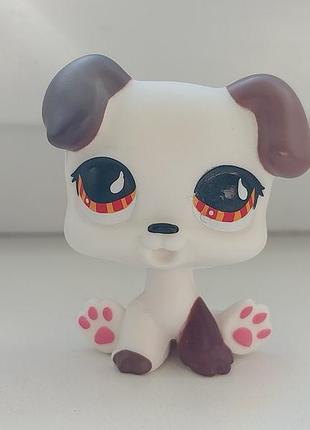 Lps littlest pet shop фигурка щенка собачка фигурки игрушки лпс пет шоп петшоп pet shops petshops hasbro пет шопы петшопы пет шопы шоп