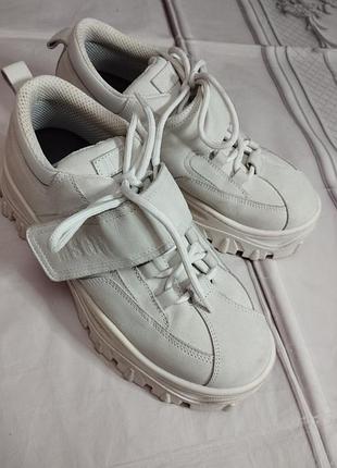 Кросівки msgm 6
