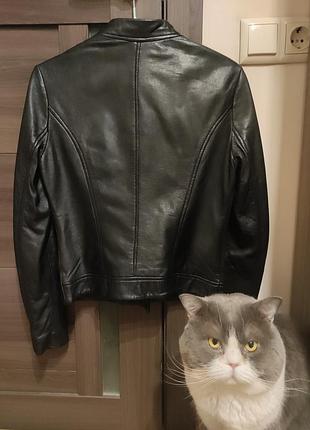 Косуха mango 6