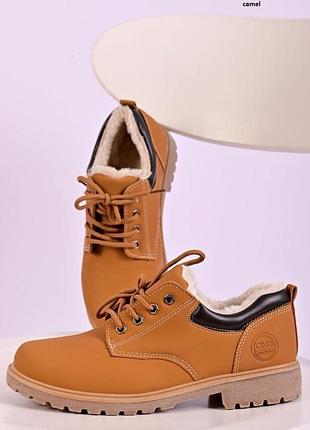 Жіночі зимові черевики camel timber