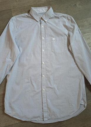 Рубашка хлопок lacoste regular fit размер m-l