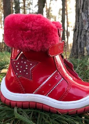 Черевики зима 21 розмір