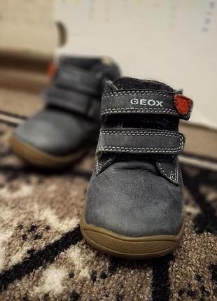 Черевики для хлопчиків geox сірі, 21 розмір, шкіра