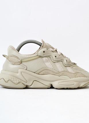 Брендові оригінальні бежеві шкіряні кросівки adidas ozweego 23 см