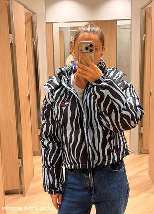 Жіночий пуховик tommy jeans зебра 6