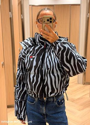Жіночий пуховик tommy jeans зебра 5