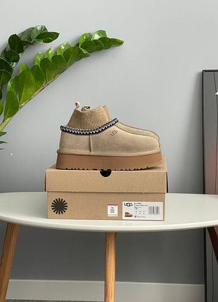 Уггі ugg tazz sock khaki 4
