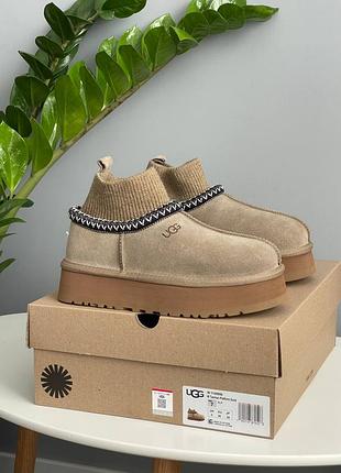 Угги ugg tazz sock khaki