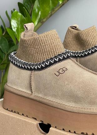 Уггі ugg tazz sock khaki 3