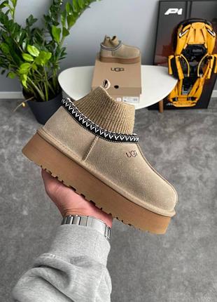 Уггі ugg tazz sock khaki 5