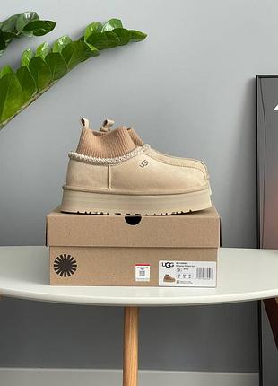 Угги ugg tazz sock beige 5