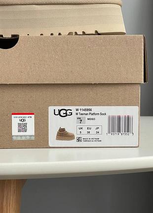 Угги ugg tazz sock beige 6