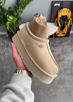 Угги ugg tazz sock beige 8