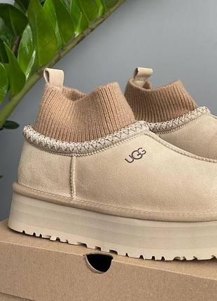 Угги ugg tazz sock beige 3