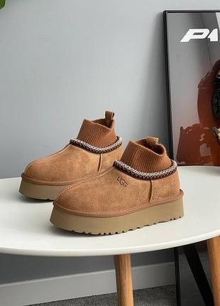 Угги ugg tazz sock chestnut 9