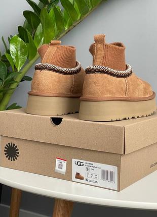 Угги ugg tazz sock chestnut 8