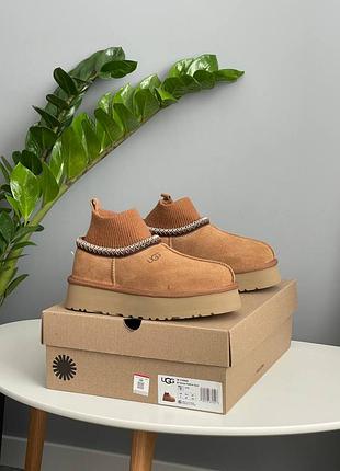 Уггі ugg tazz sock chestnut