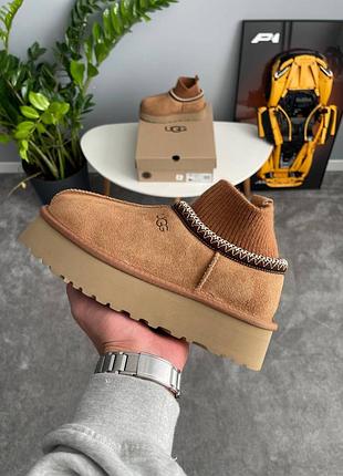 Угги ugg tazz sock chestnut 2