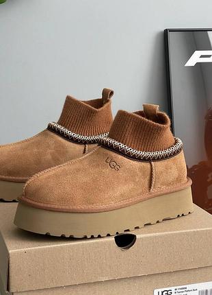 Угги ugg tazz sock chestnut 5