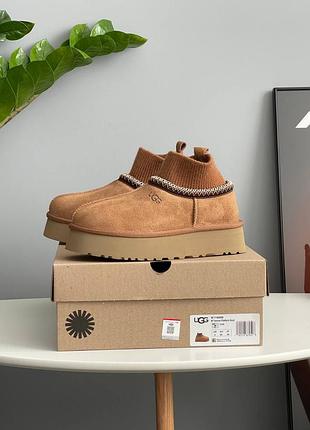 Угги ugg tazz sock chestnut 6
