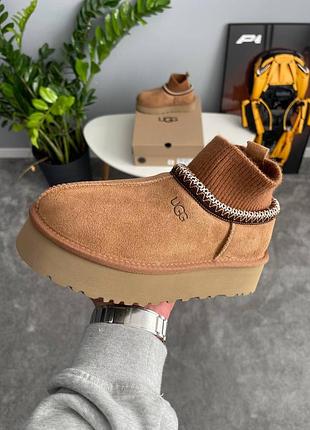 Угги ugg tazz sock chestnut 4