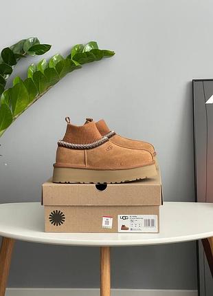 Угги ugg tazz sock chestnut 7