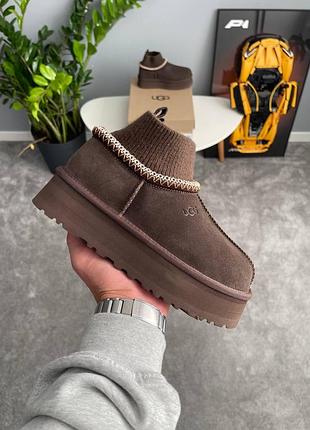 Уггі ugg tazz sock chocolate 6