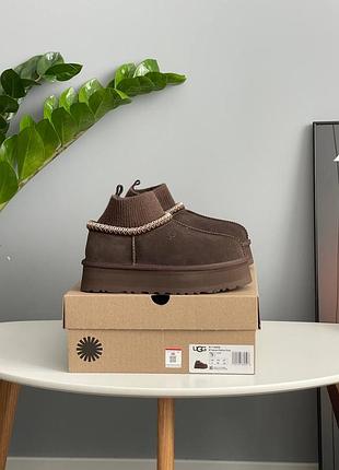 Уггі ugg tazz sock chocolate 5