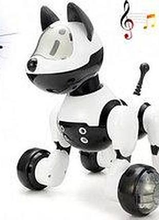 Интерактивная собака mg012 свет звук / реагирует на команды и танцует