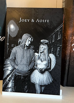 Декор для книжной полки finding 3d-картина joey & aoife - спасти шестого 11,5 см × 17,5 см