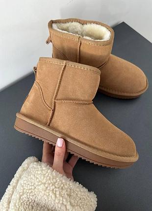 Бежеві замшеві уггі ugg classic mini brown х угг міні 36