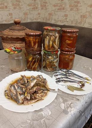 Черноморская прудик
