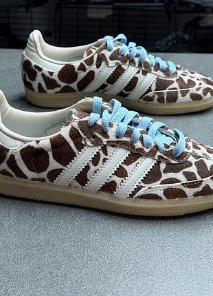 Кросівки кеди adidas samba ki6669