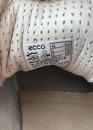 Жіночі шкіряні  кросівки   ecco 7