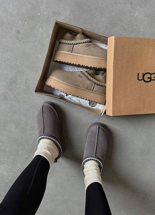 Ugg tazz platform premium 5