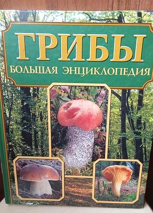 Большая энциклопедия.грибы.