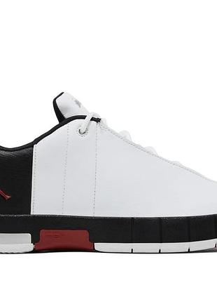 Air jordan te 2 low bg