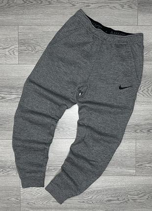 Чоловічі спортивні штани nike therma-fit grey оригінал на флісі