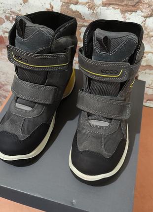 Черевики ecco snow mountain 38 - 39 р 2