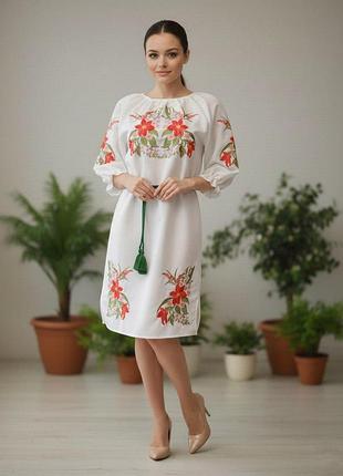 Вишита сукня "маддіс" pn-0012