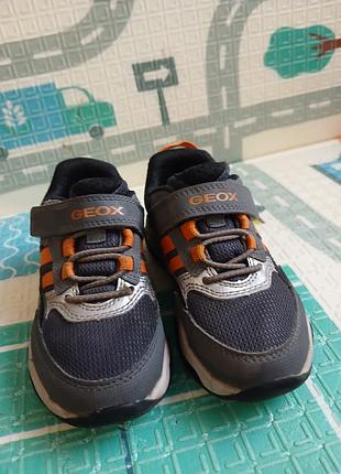Кросівки для хлопчика geox 4