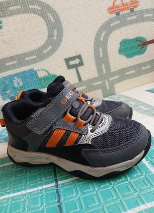 Кросівки для хлопчика geox 5