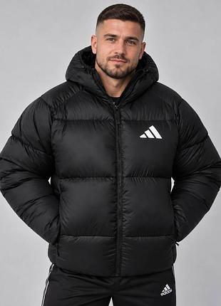 Чоловічий зимовий пуховик adidas