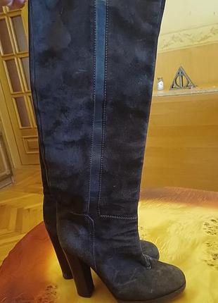 Чоботи жіночі chloé замшеві чорні
