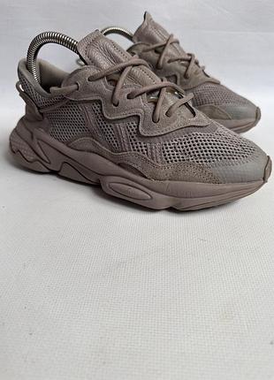 Кросівки adidas ozweego