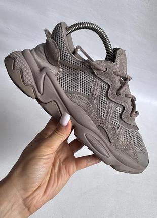 Кросівки adidas ozweego 7
