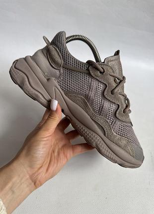 Кросівки adidas ozweego 8