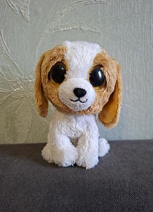 М'яка іграшка собачка ty beanie boos muddles