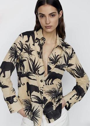 Стильна сорочка блуза massimo dutti